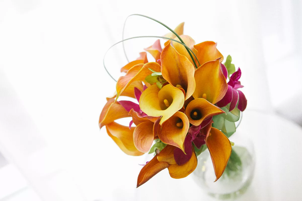 Wedding Bouquet, designed by Teresa Juan. Photo by The Apartment Photography, 2011.