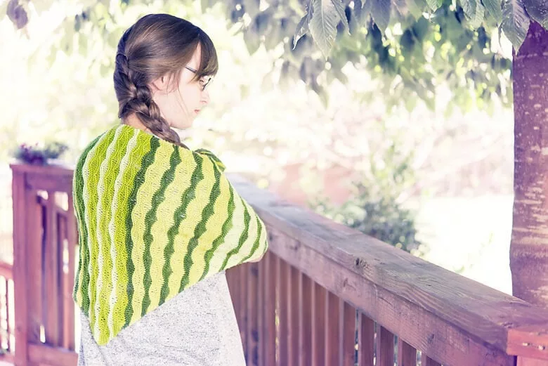 Holidays with SweetGeorgia, Vol. 2. Knitting accessory patterns.