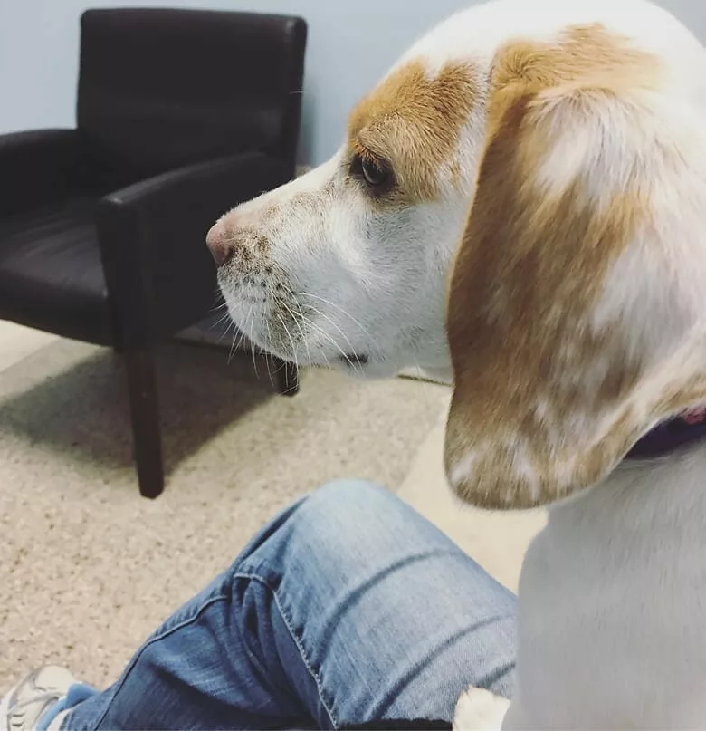 Photo Jan 26, 9 40 28 AM