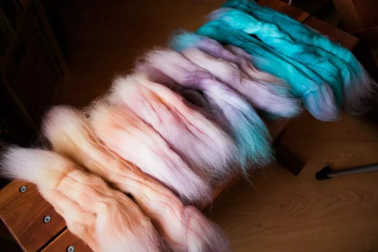 Superwash Targhee wool spinning fibre split up into colour sections