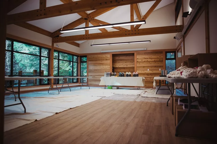 Felicia's Dyeing Studio, all set up and ready to go