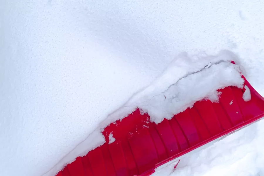 snow day at sweetgeorgia studio