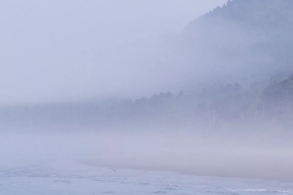 2020 SweetGeorgia MKAL Laurel Mists