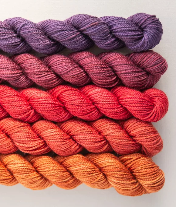 SweetGeorgia Party of Five mini-skein set Throwback in Tough Love Sock