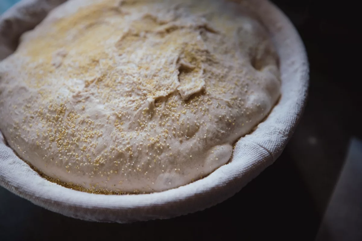 Burbling, bubbling ball of sourdough ready for the oven