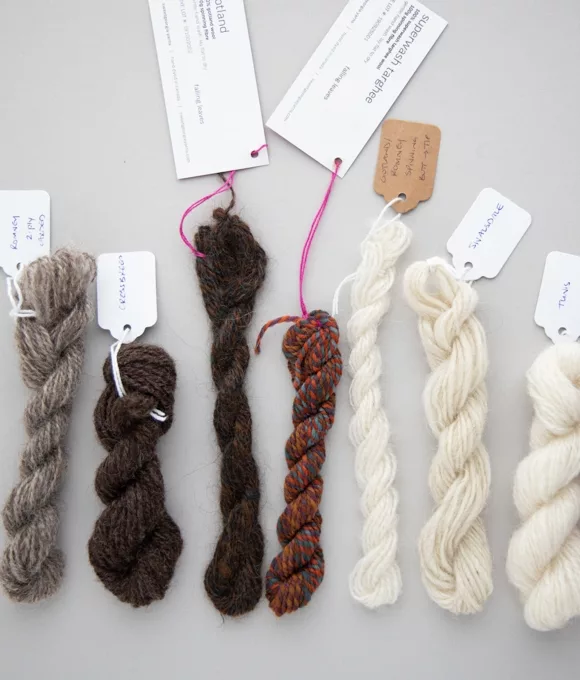 Spinning Sheep Breeds