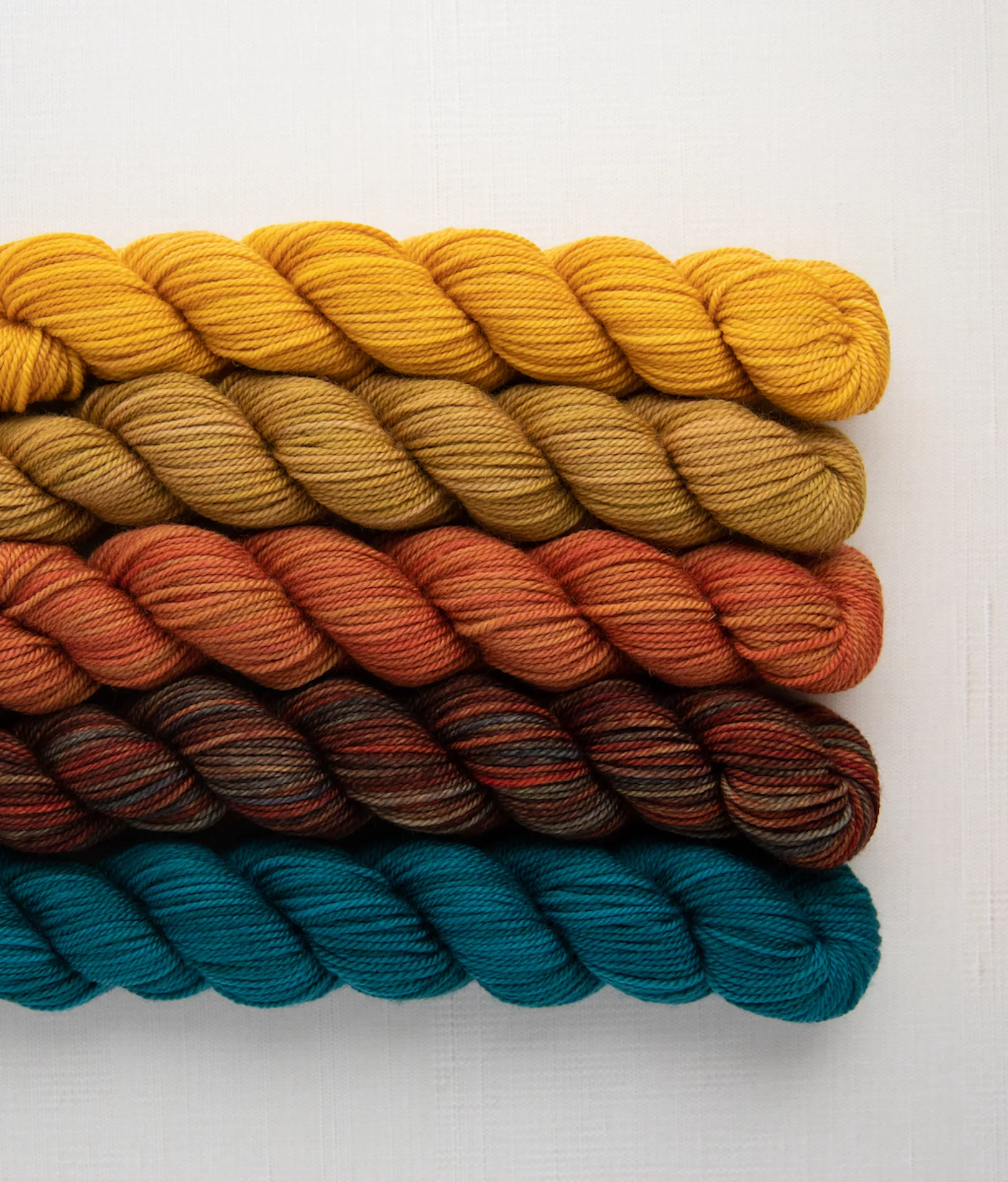 Farm to Table Party of Five mini-skein set