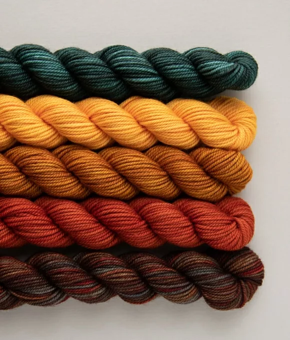 SweetGeorgia Superwash DK Party of Five mini-skein yarn sets Pine Island