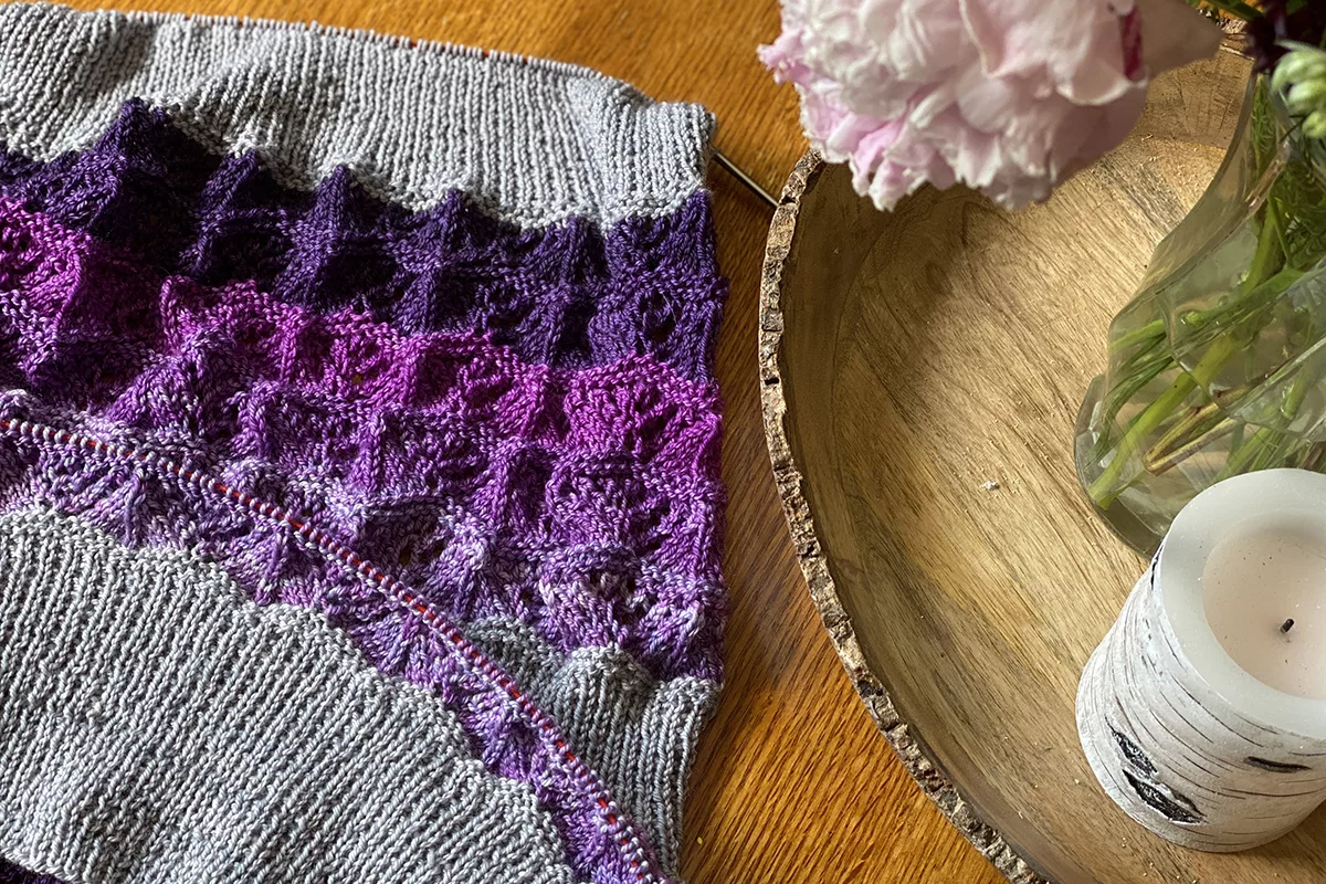 SweetGeorgia Yarns Lace-Along photo