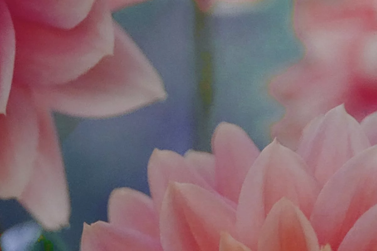 Autumn Dahlias SweetGeorgia 2022 Mystery Knit-along