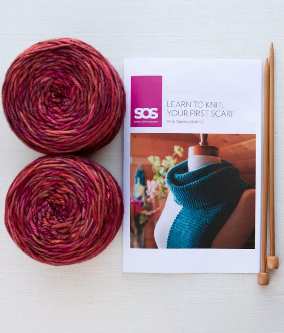 Learn to Knit kit with SweetGeorgia hand-dyed yarn and tutorials