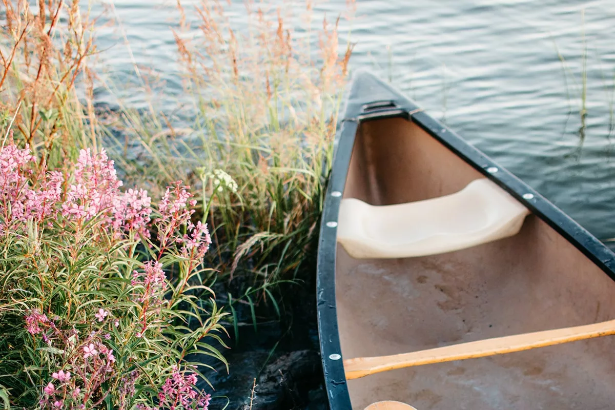 a blue canoe next to pink and greens seagrasses in the water