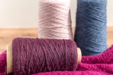 Gist Ode camelid article