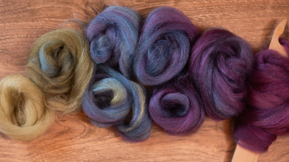 Handpainted fibre prepared for spinning into a gradient yarn - nests of dizzed fibre