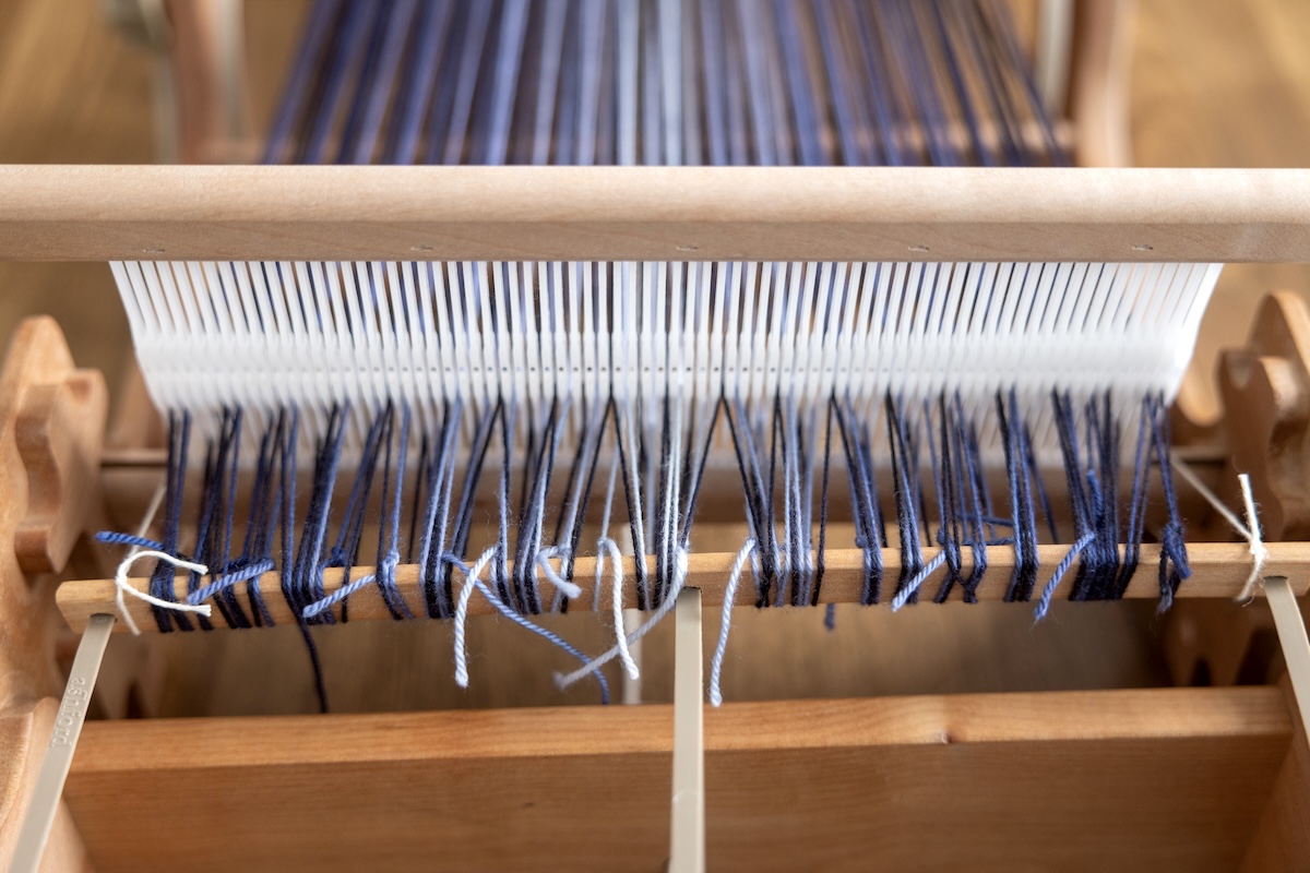 The Best of Both: Exploring Hybrid Warping: changing warp colours