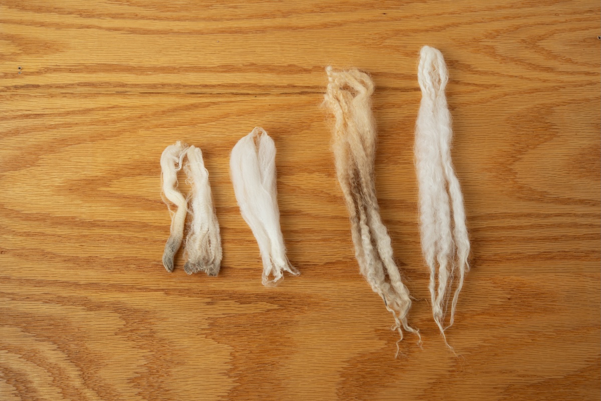 raw and washed locks side-by-side