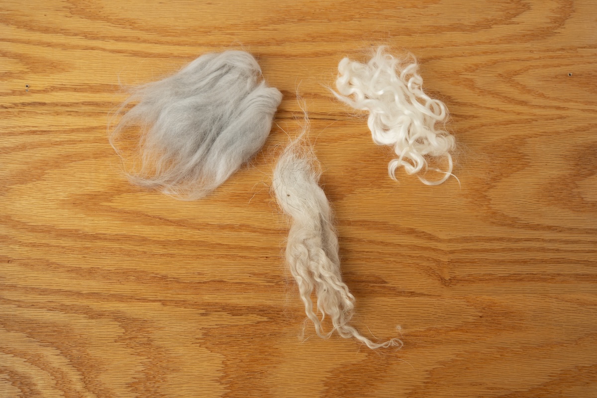 From left to right: raw fibre from an angora rabbit, raw locks from a cashgora goat, cleaned locks from an angora (mohair) goat. 