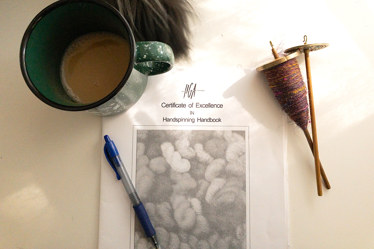 HGA Level 1 COE handbook and a spindle filled with handspun singles