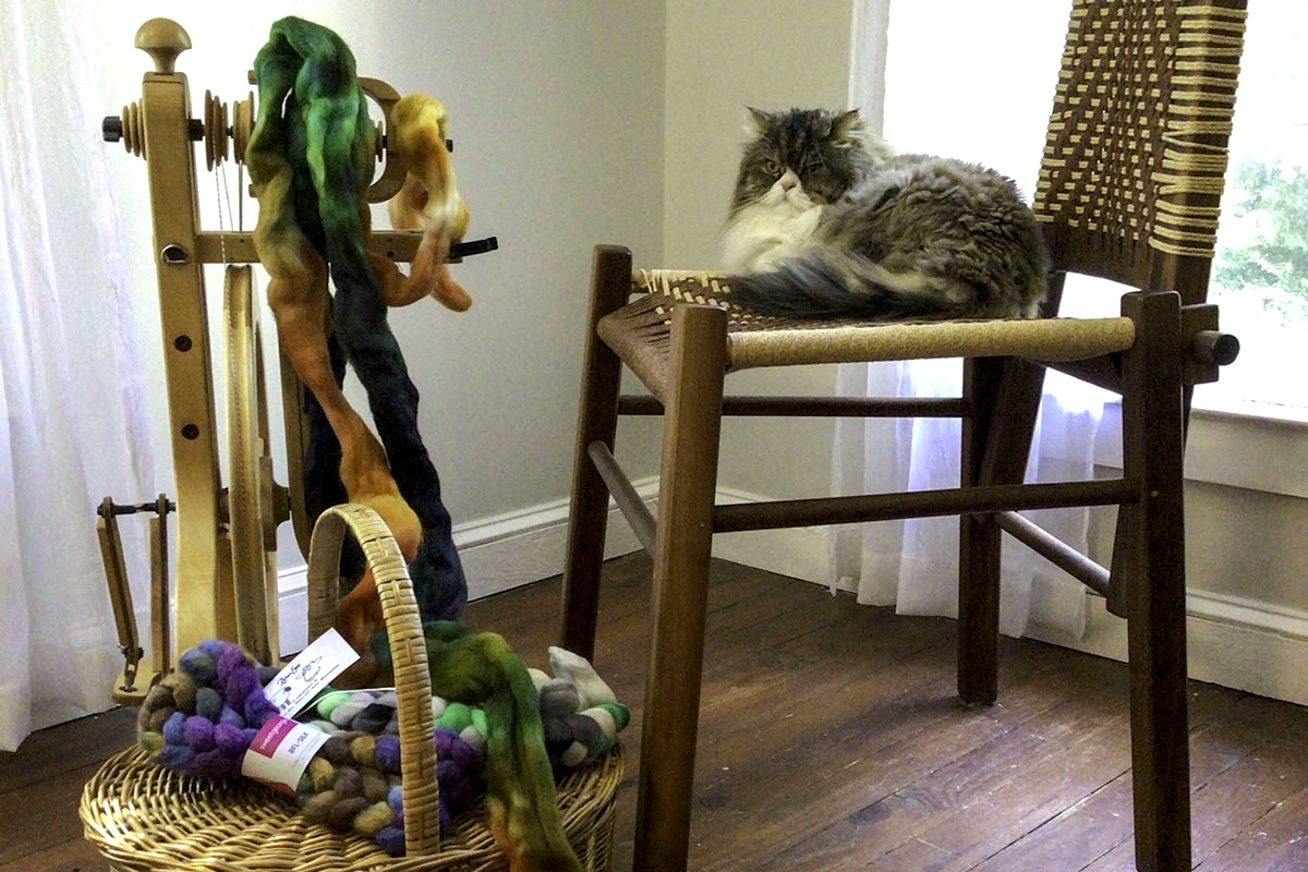 Debbie Held's cat and a matchless spinning wheel
