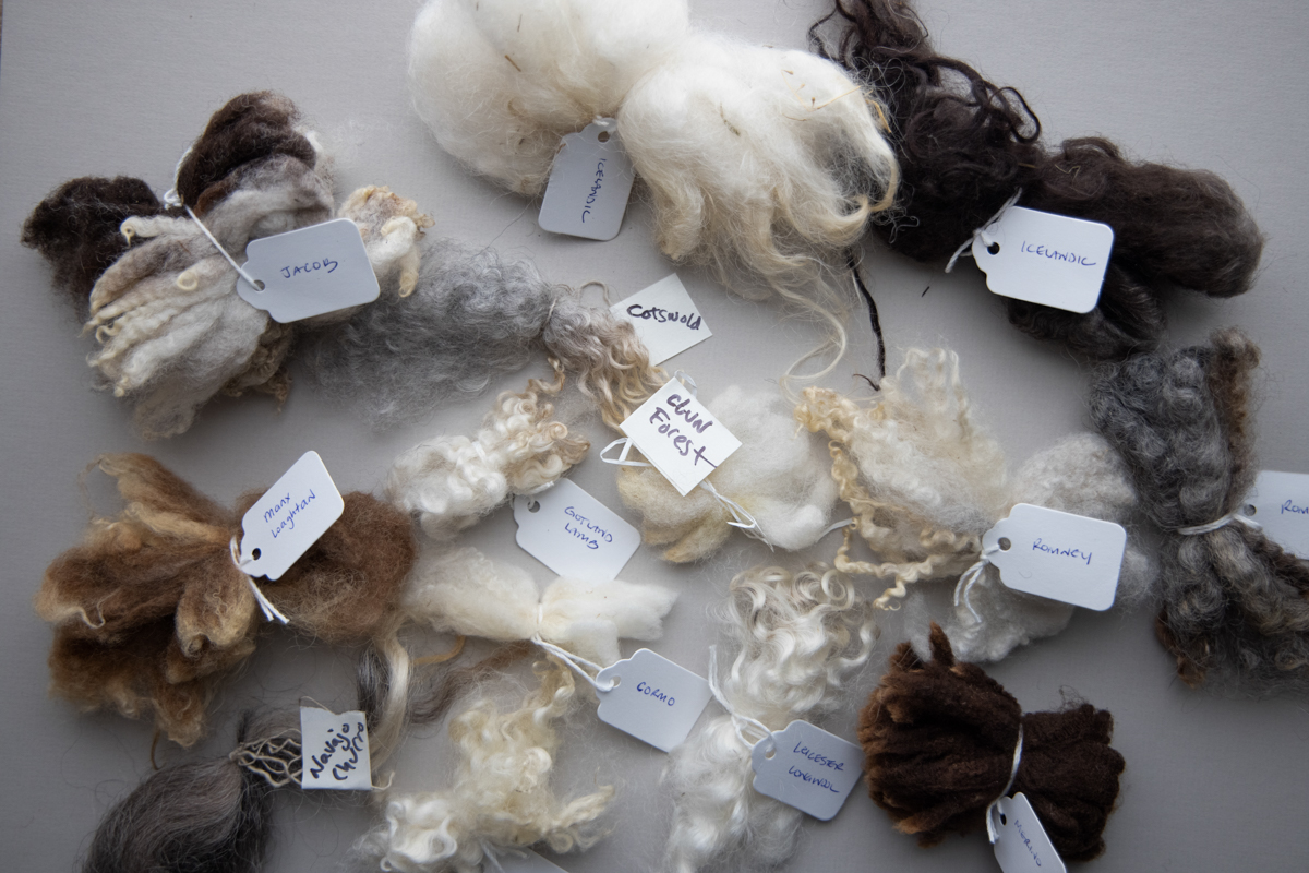Wool locks from various breeds