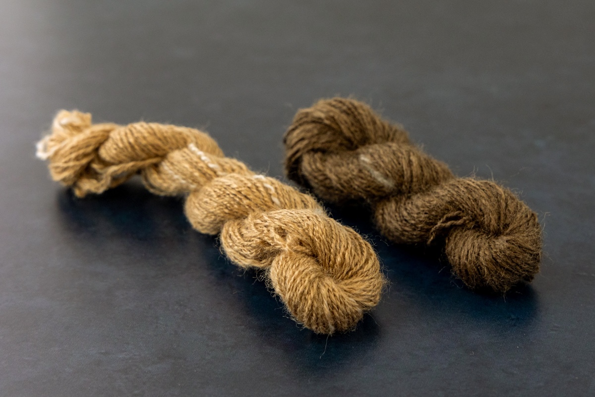 Left to right: 100% Muga silk 2-ply sample, 100% Peduncle silk 2-ply sample.