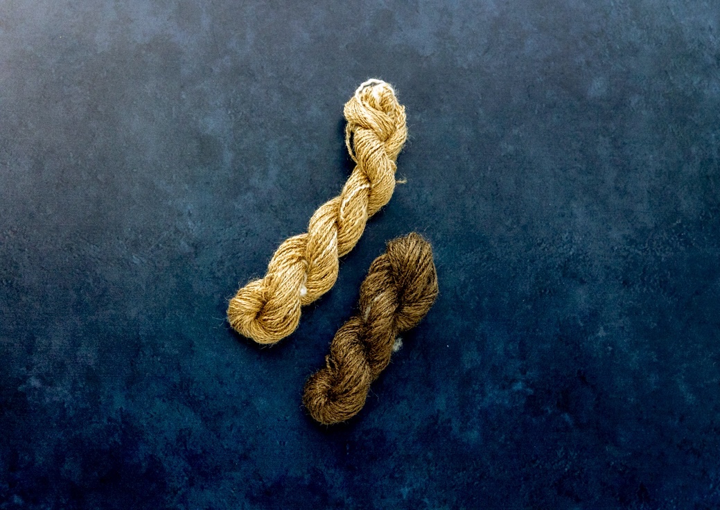 Left to right: 100% Muga silk 2-ply sample, 100% Peduncle silk 2-ply sample.