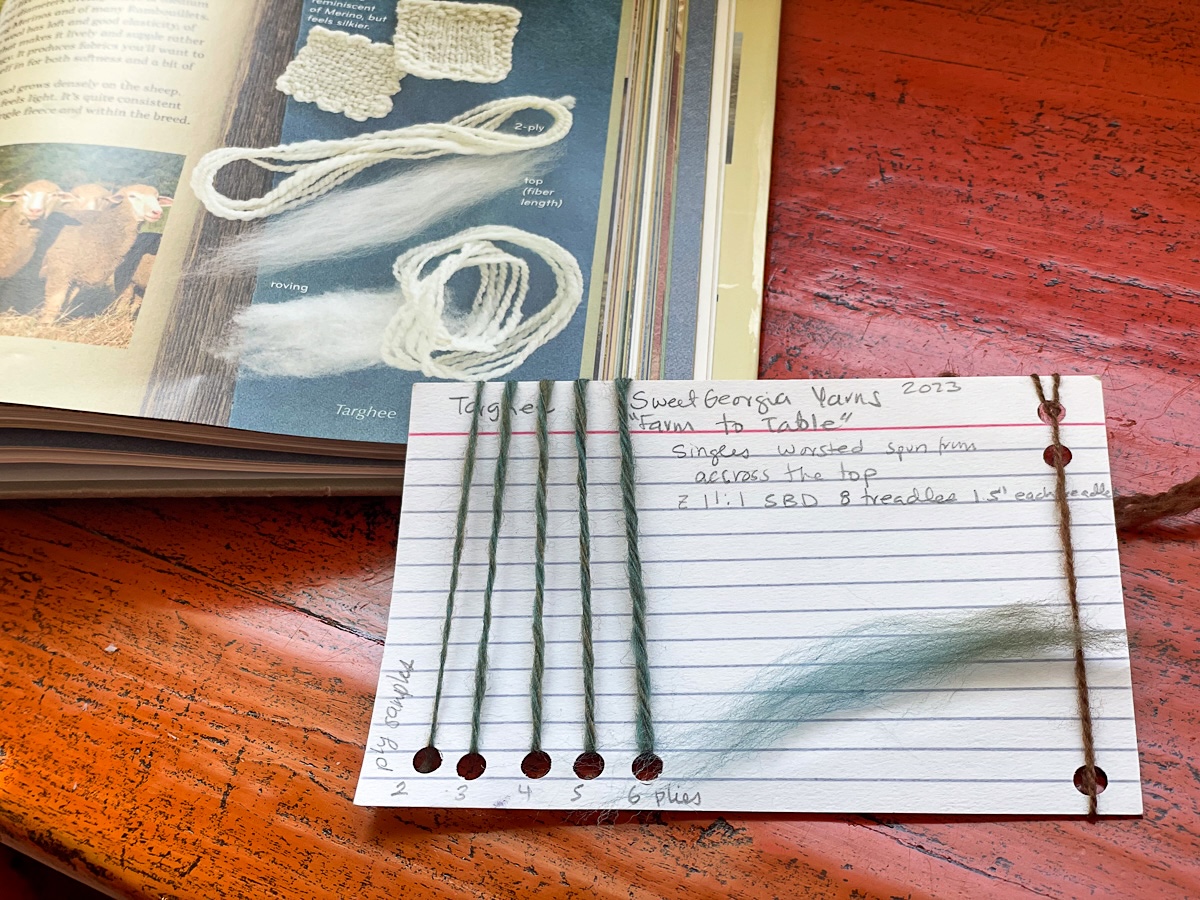 Spinning control card sampling for a project with Targhee fibre.