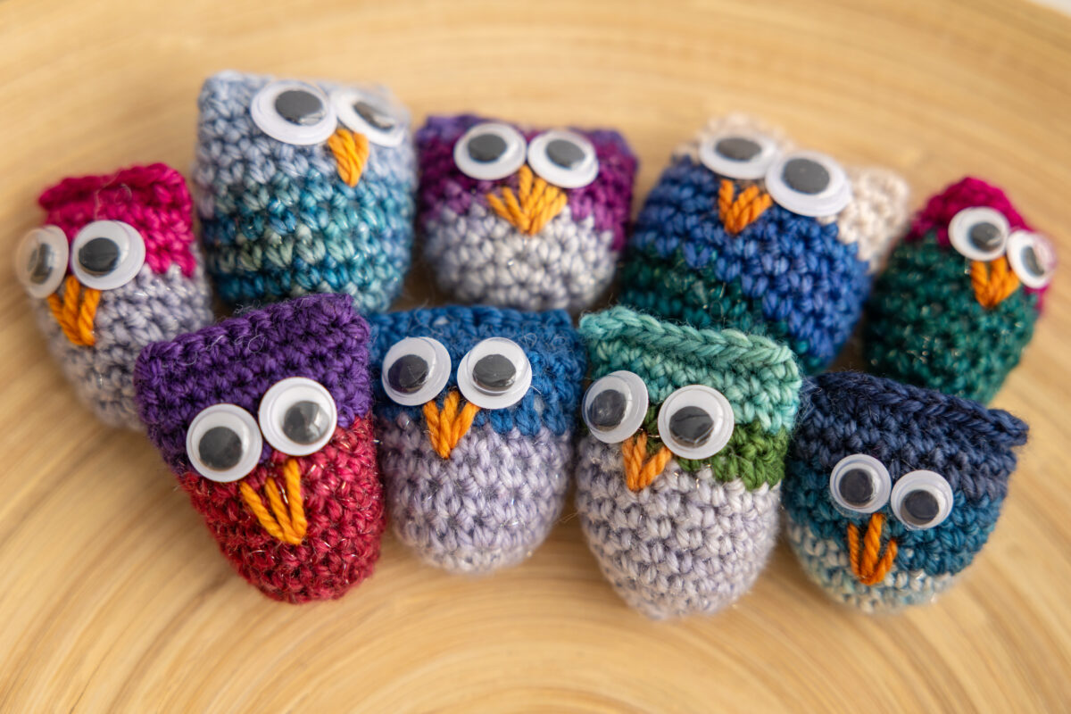 Anita's owlets