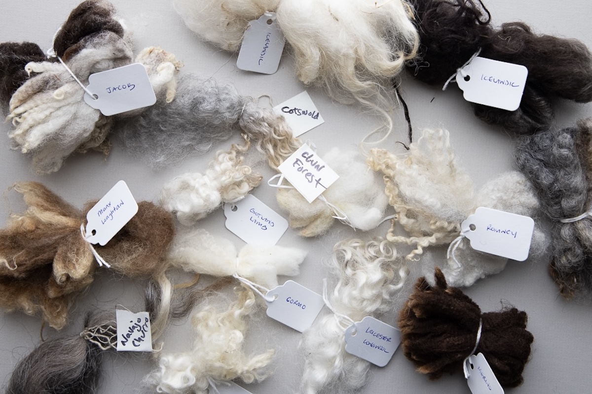spinning sheep breeds