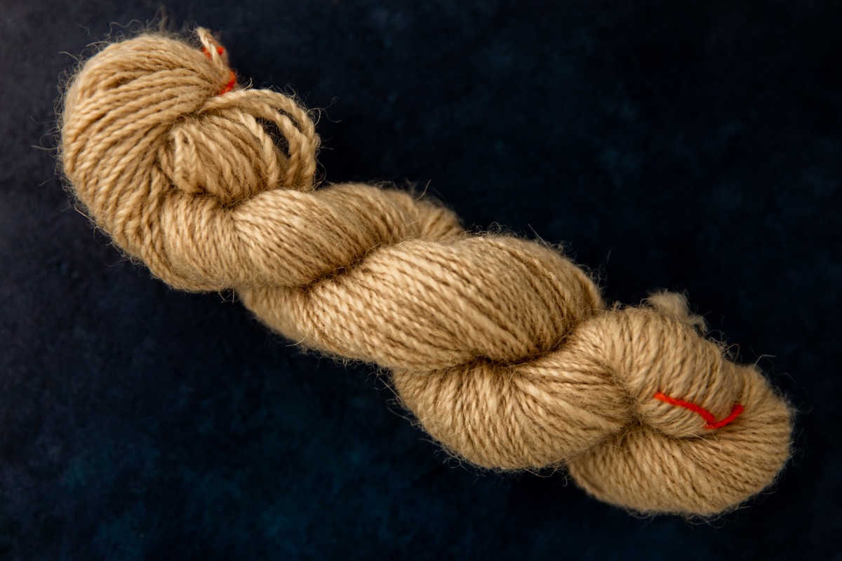spinning camel