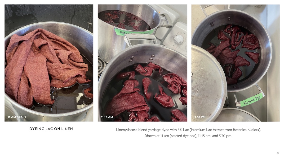 example of Natural dye study group lesson