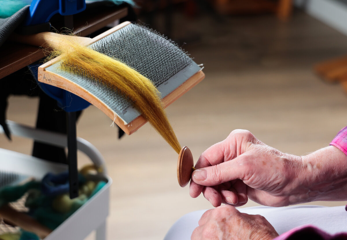 Dizzing hand-dyed fibre