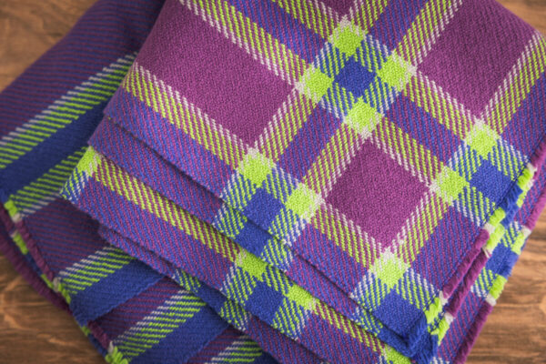 Design by: Kathryn Steely Gist Beam 8/2 Cotton in: Cobalt, Jam, Pistachio, and Mist 4 cones