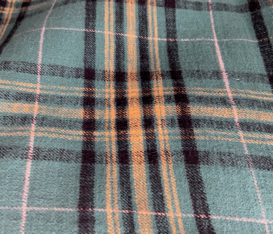 Robyn's inspiration fabric