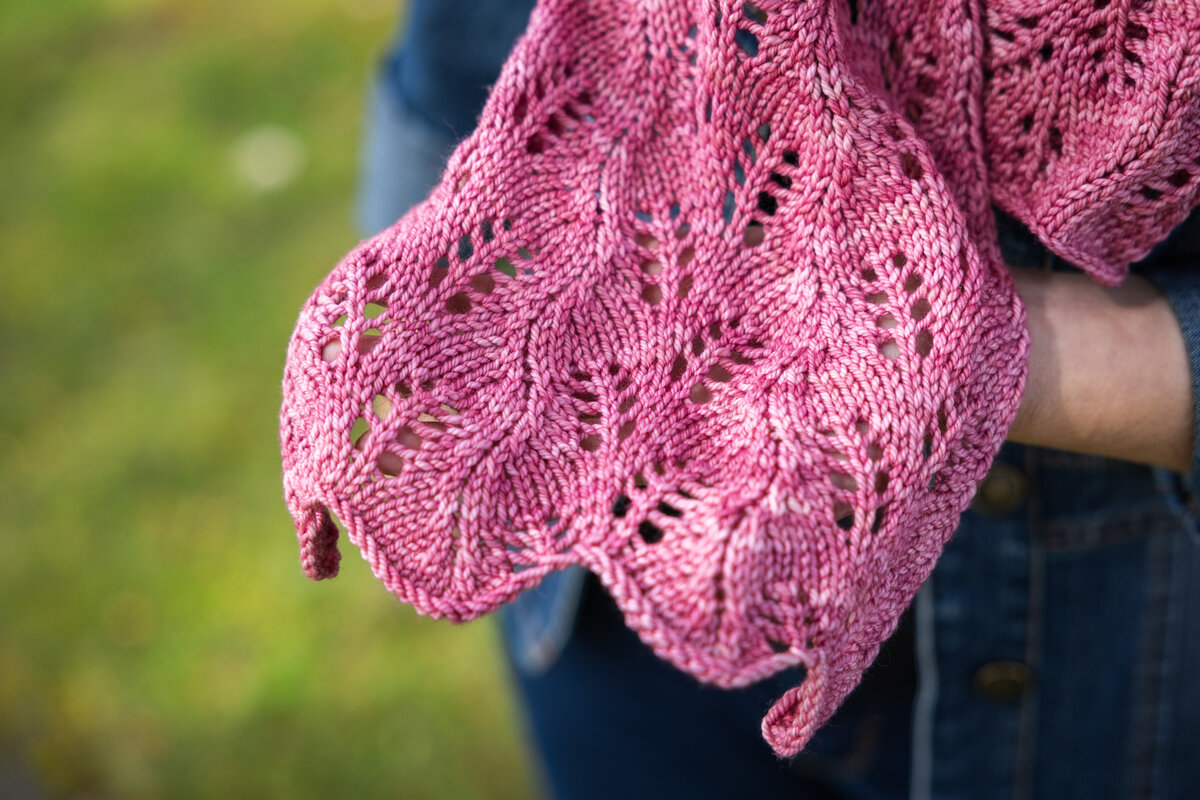 Design by Barb Barone Machine Knit in Merino DK Camellia, 2 skeins