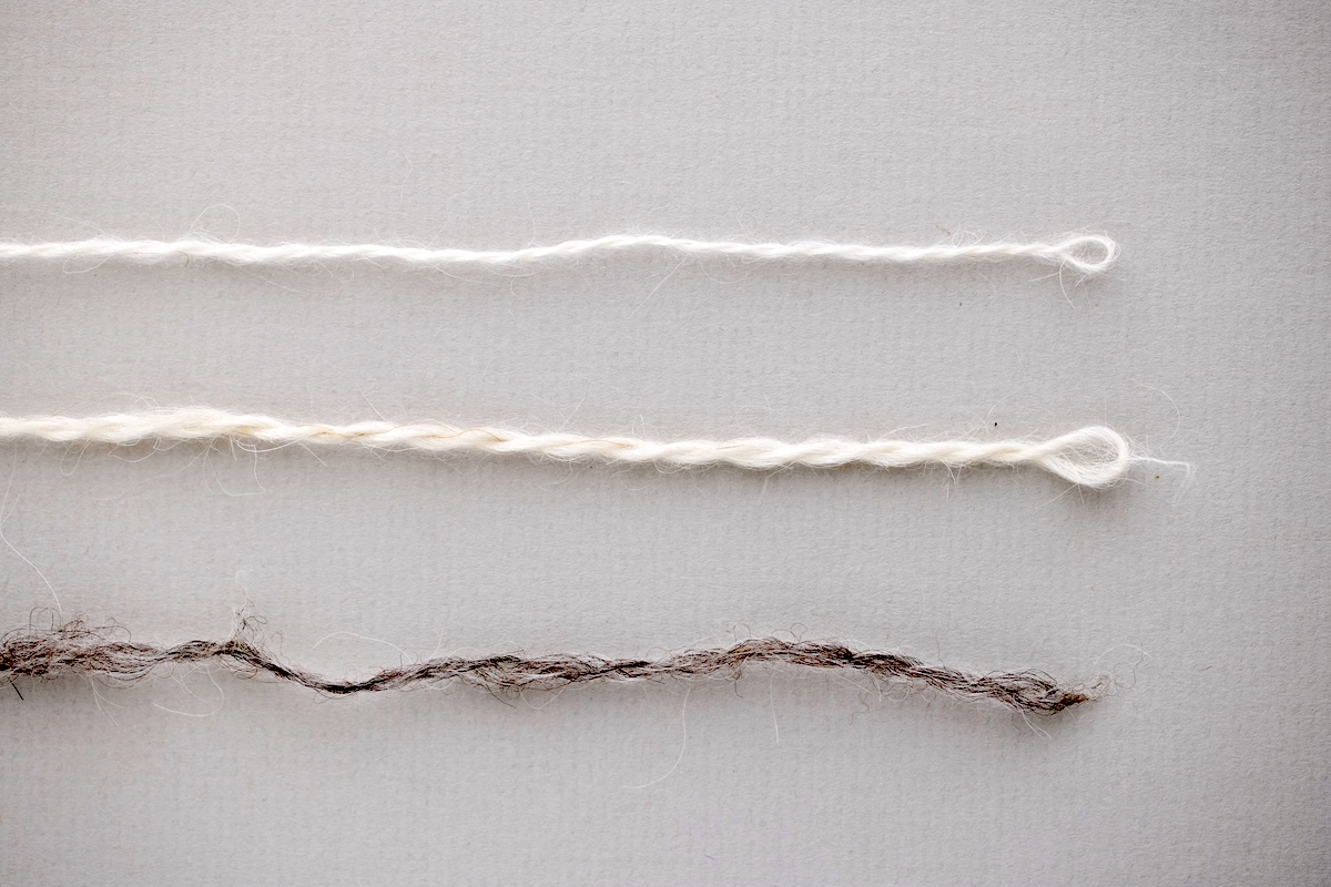 Sheep Breeds course ply back comparison