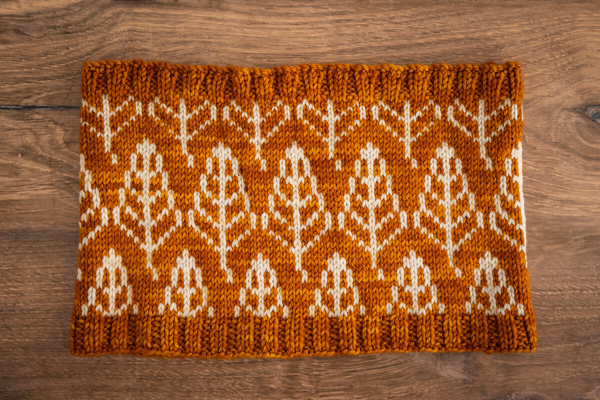 Turning Leaves by Kristen Tendyke
Merino Worsted in Apple Pie & Birch