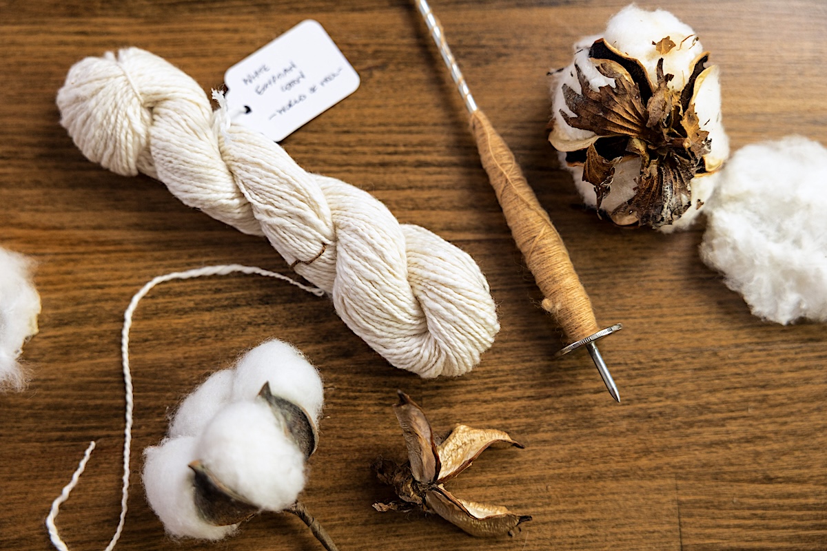 Cotton yarn, boll, and spindle