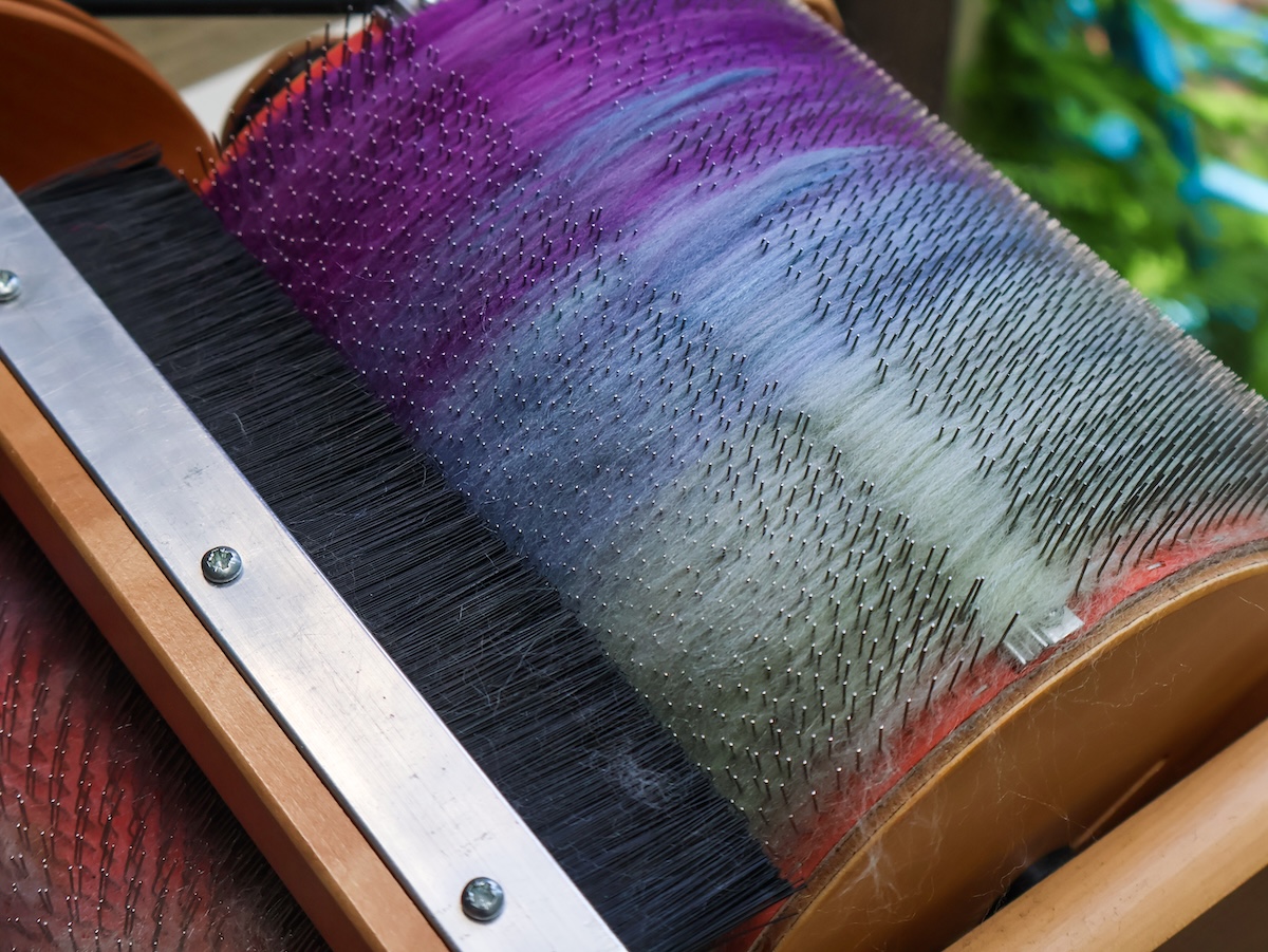 Wild thistle on the drum carder